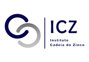 ICZ Instituto da Cadeia do Zinco